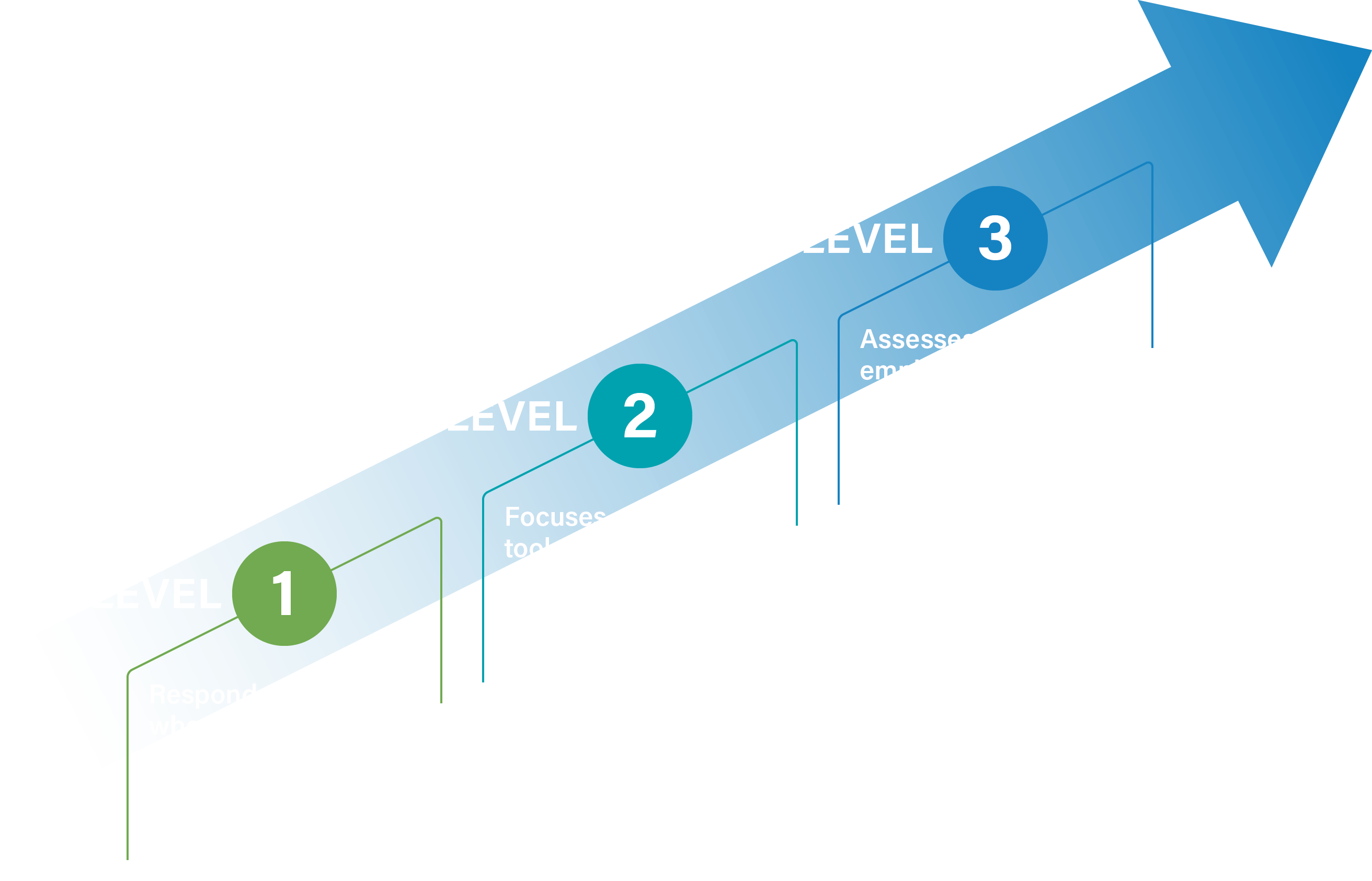 Graphic showing the three maturity levels and brief descriptions